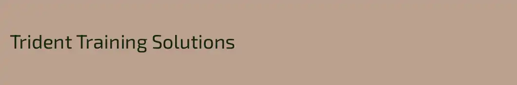 Trident Training Solutions